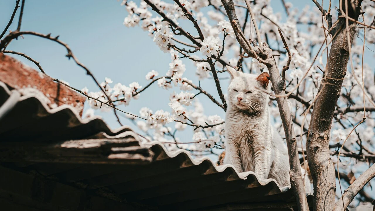 Changping photo